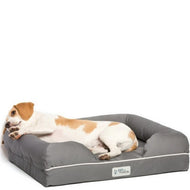PetFusion Ultimate Solid 2.5 Inch Memory Foam Pet Bed for Small Dogs