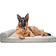 PetFusion New BetterLounge 44x34x3.5 Inch (LARGE) bed