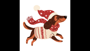 Christmas Cards - (Pack of 10 cards)