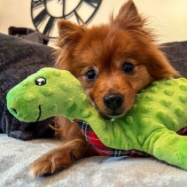 Ancol Playtime Cuddle For Dogs