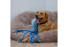 Ancol Playtime Cuddle For Dogs