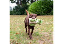 Ancol Playtime Cuddle For Dogs