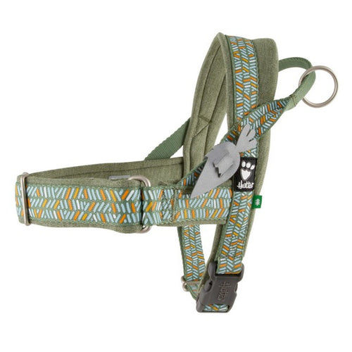 Razzle-Dazzle H-Harness (Sage)