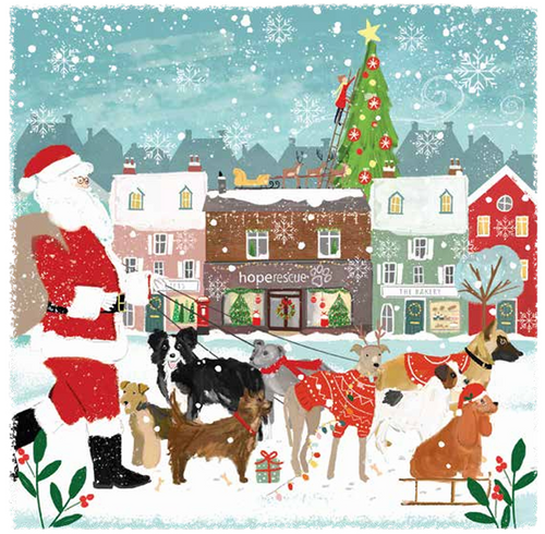 Hope 'Christmas Shopping' pack of 10 Christmas Cards