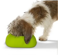 Incredi-bowl (lime) dog bowel for long-eared dogs