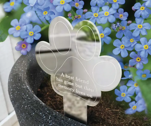 Paw Print Memorial Garden Planter & Forget Me Not Seeds