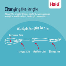 CoA Halti Training Lead, Red