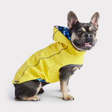 GF Pet Elasto-Fit Reversible Raincoat