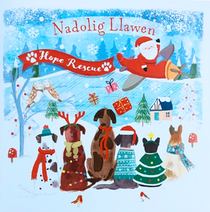Christmas Cards - (Pack of 10 cards)