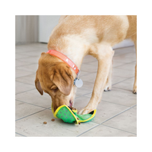 KONG® Ballistic Hide ’n Treat